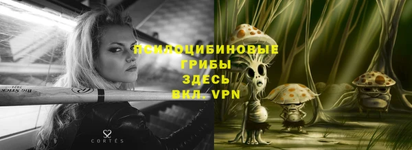 mdma Белокуриха