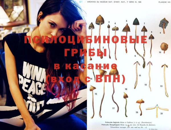 сатива Белоозёрский