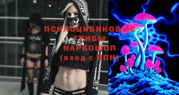 сатива Белоозёрский