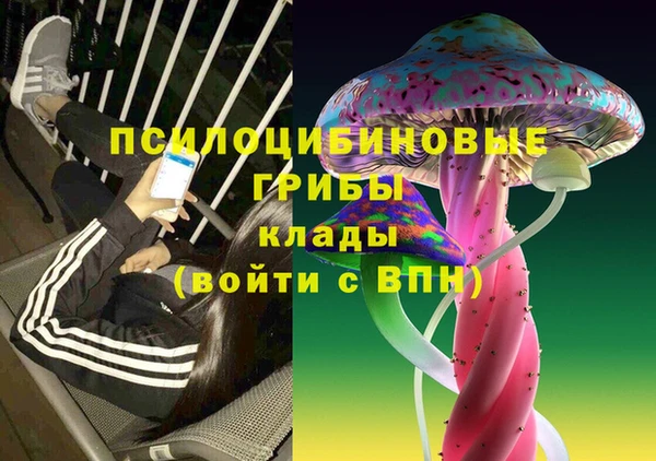 сатива Белоозёрский