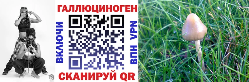 блэк спрут ONION  Володарск  Галлюциногенные грибы Psilocybine cubensis  сколько стоит 